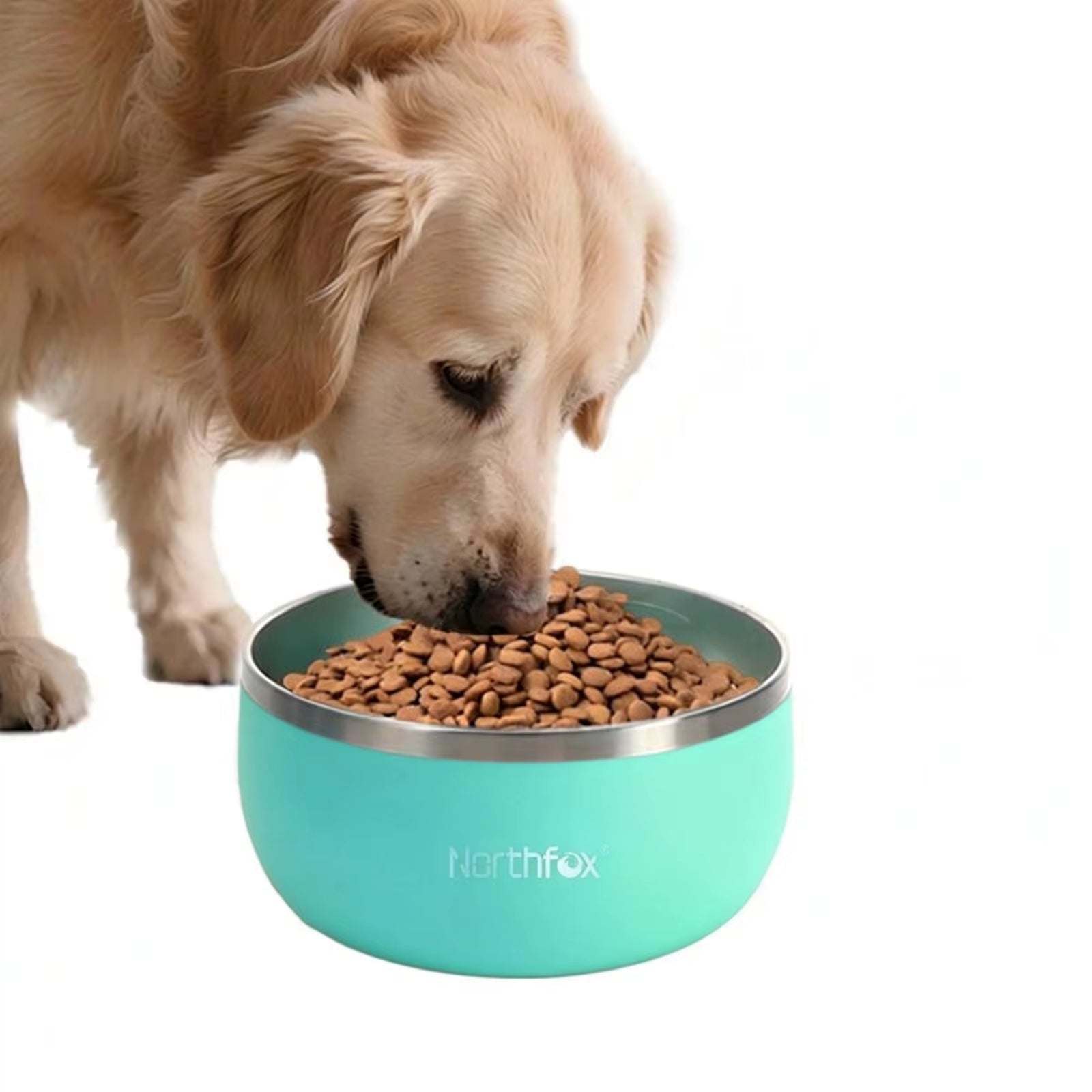 32Oz64Oz Dog Bowl for Food and Water Stainless Steel Pet Feeding Bowl Durable Non-Skid Doubl Wall Insulated Multi-Color Dog Bowl